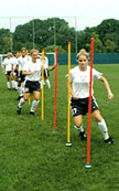 Agility Poles (Set of 8)